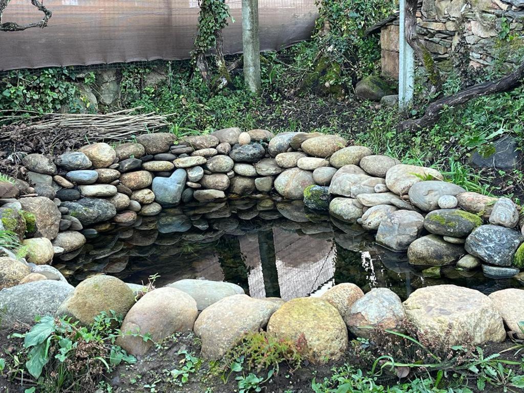 Casa Do Adro-Passadicos Do Paiva Arouca Villa Eksteriør bilde