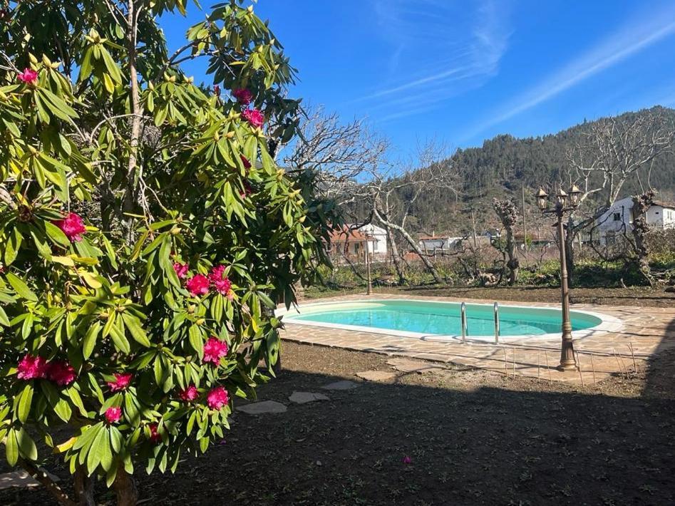 Casa Do Adro-Passadicos Do Paiva Arouca Villa Eksteriør bilde